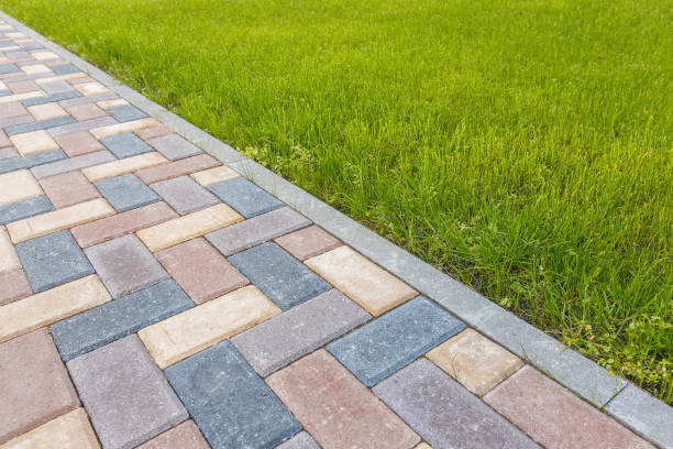 Best Driveway Paving Contractor  in Folly Beach, SC